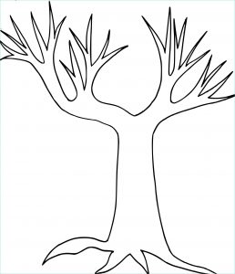 Dessin Tronc D&amp;#039;arbre Imprimer Inspirant Photos Coloriage Tronc Arbre à Imprimer