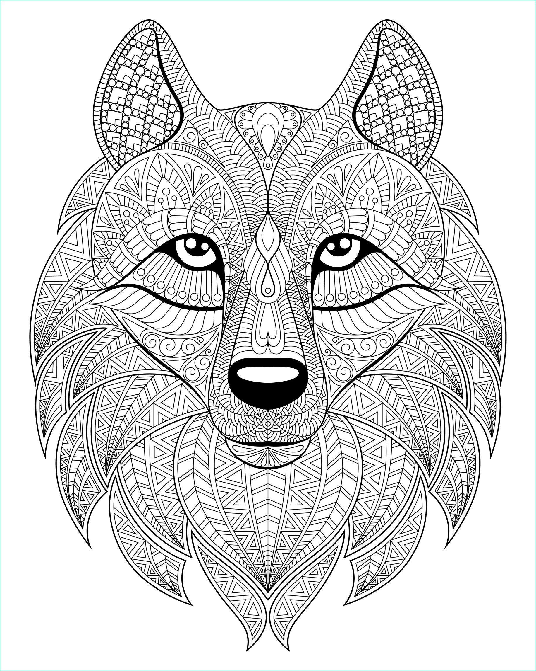Dessins Imprimer Élégant Images Wolf Head Plex Patterns Wolves Adult Coloring Pages