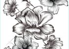 Fleur à Imprimer Élégant Collection Petites Fleurs Coloriages été à Imprimer Image Gratuite