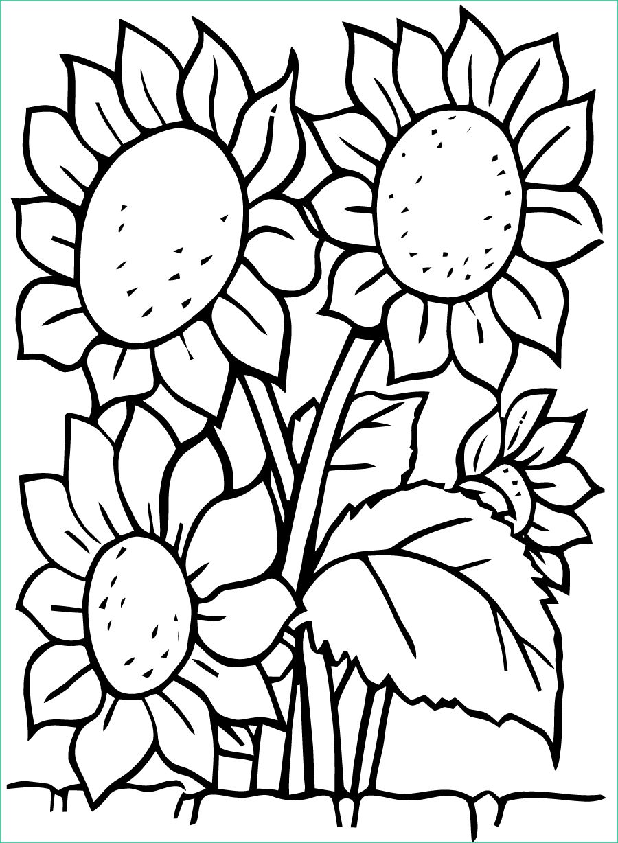 Fleur à Imprimer Nouveau Image Fleurs 1 Coloriage De Fleurs Coloriages Pour Enfants