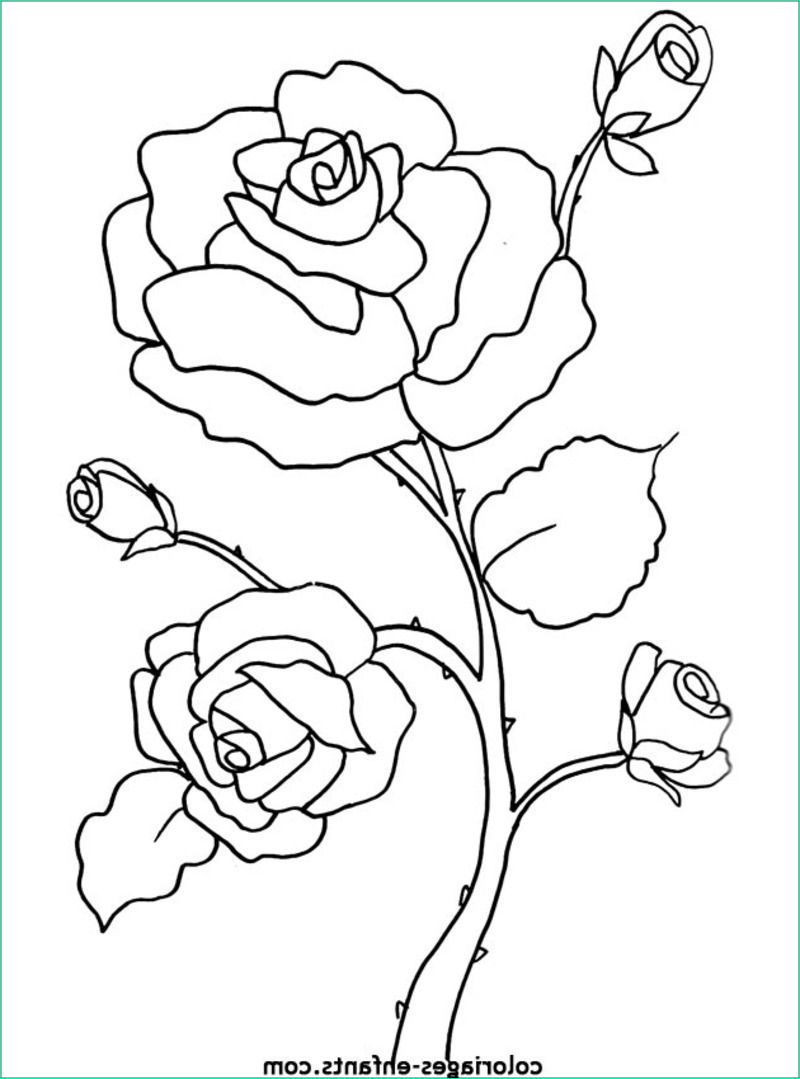 Imprimer Des Coloriages Luxe Stock 74 Dessins De Coloriage Fleur à Imprimer Sur Laguerche