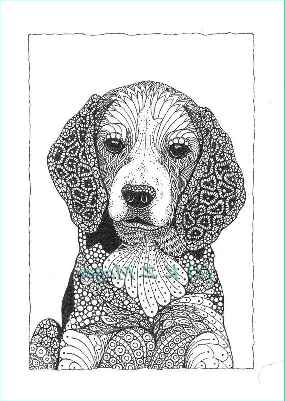 Mandala Animaux Chien Élégant Image Small Med Breed Dog Portraits Matted Prints Select