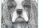 Mandala Animaux Chien Impressionnant Images Zentangle Dogs Google Search