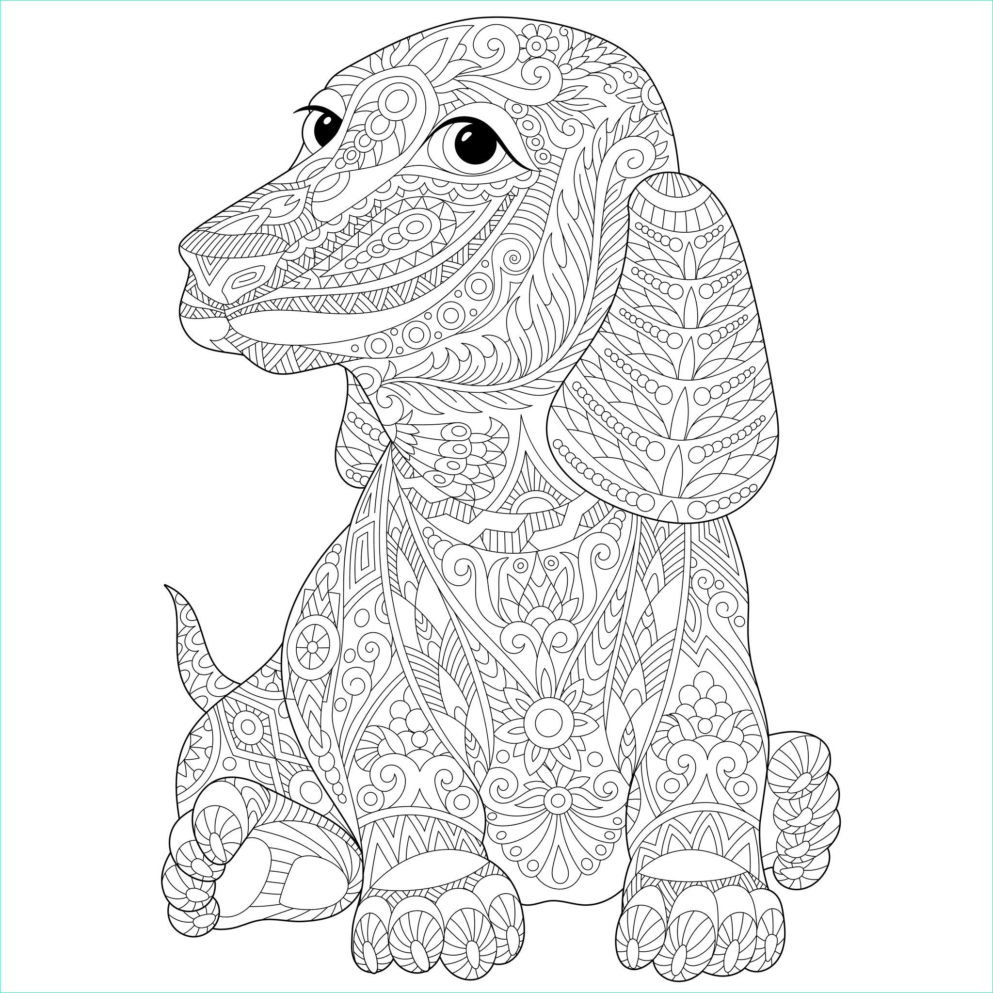Mandala Animaux Chien Inspirant Collection 15 Unique De Coloriage Mandala Chien Image Coloriage