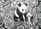 Mandala Animaux Panda Unique Photographie Panda Floral Design by byjamierose On Etsy
