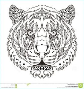 Mandala Tigre à Imprimer Élégant Photos the 25 Best Tigre Mandala Ideas On Pinterest