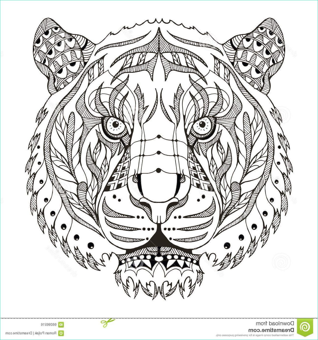 Mandala Tigre à Imprimer Luxe Galerie 12 Sympathique Coloriage Tigre Mandala S Coloriage