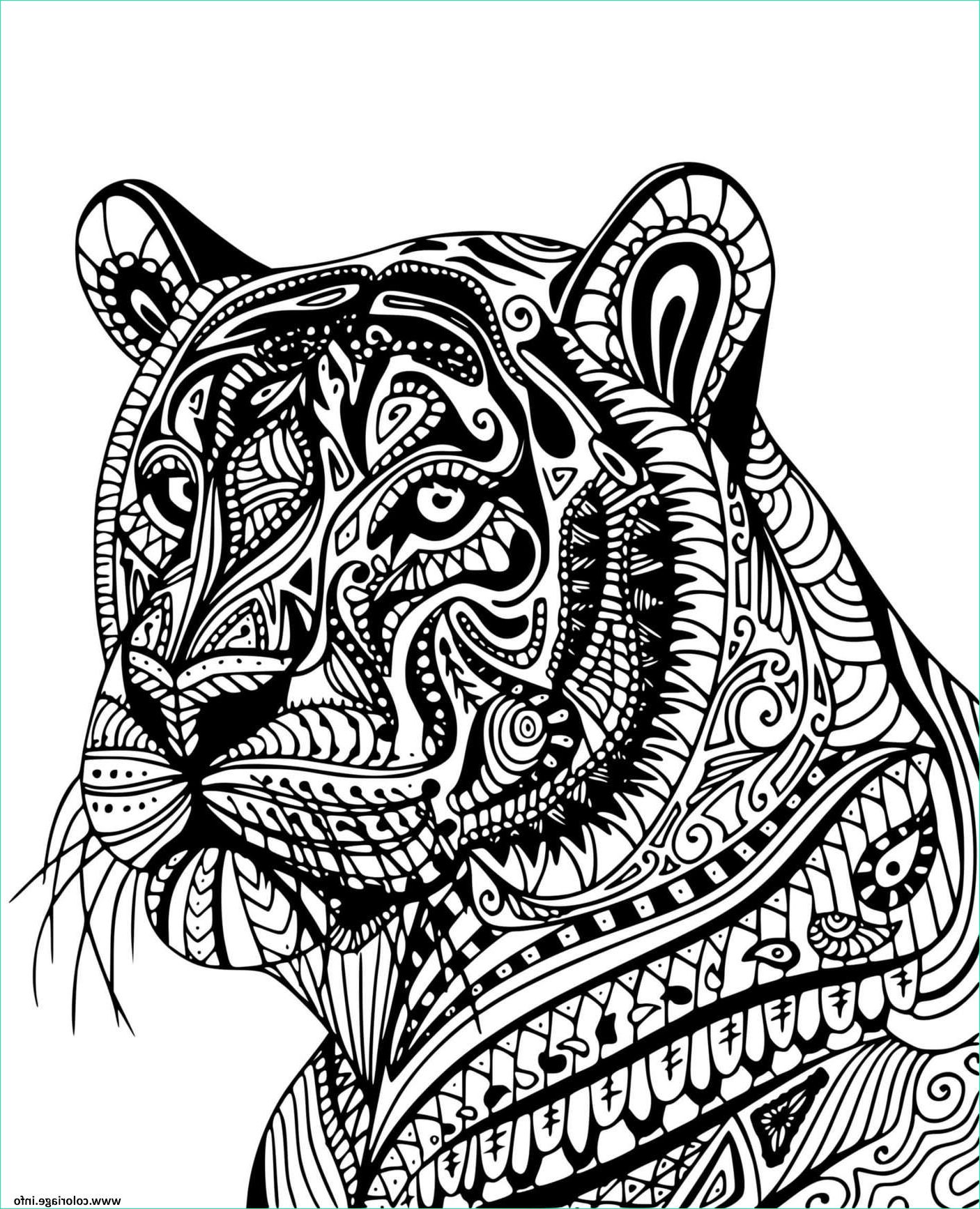 Mandala Tigre à Imprimer Luxe Image Coloriage Tigre Adulte Mandala De Profil Jecolorie