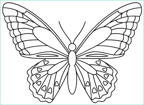 Modele Papillon Gratuit A Imprimer Unique Photos Papillon Dessin Recherche Google