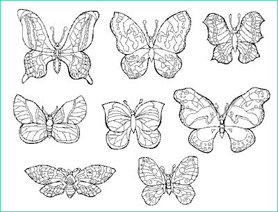 Papillon à Colorier Et Imprimer Beau Photographie Coloriage Papillons Gratuit Animaux