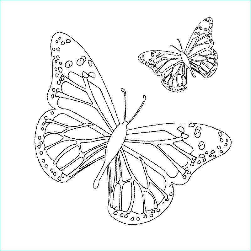 Papillon à Colorier Et Imprimer Élégant Galerie Coloriage De Papillon à Imprimer
