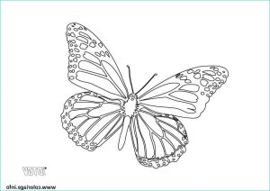 Papillon à Colorier Et Imprimer Inspirant Collection Coloriage Papillon 135 Jecolorie