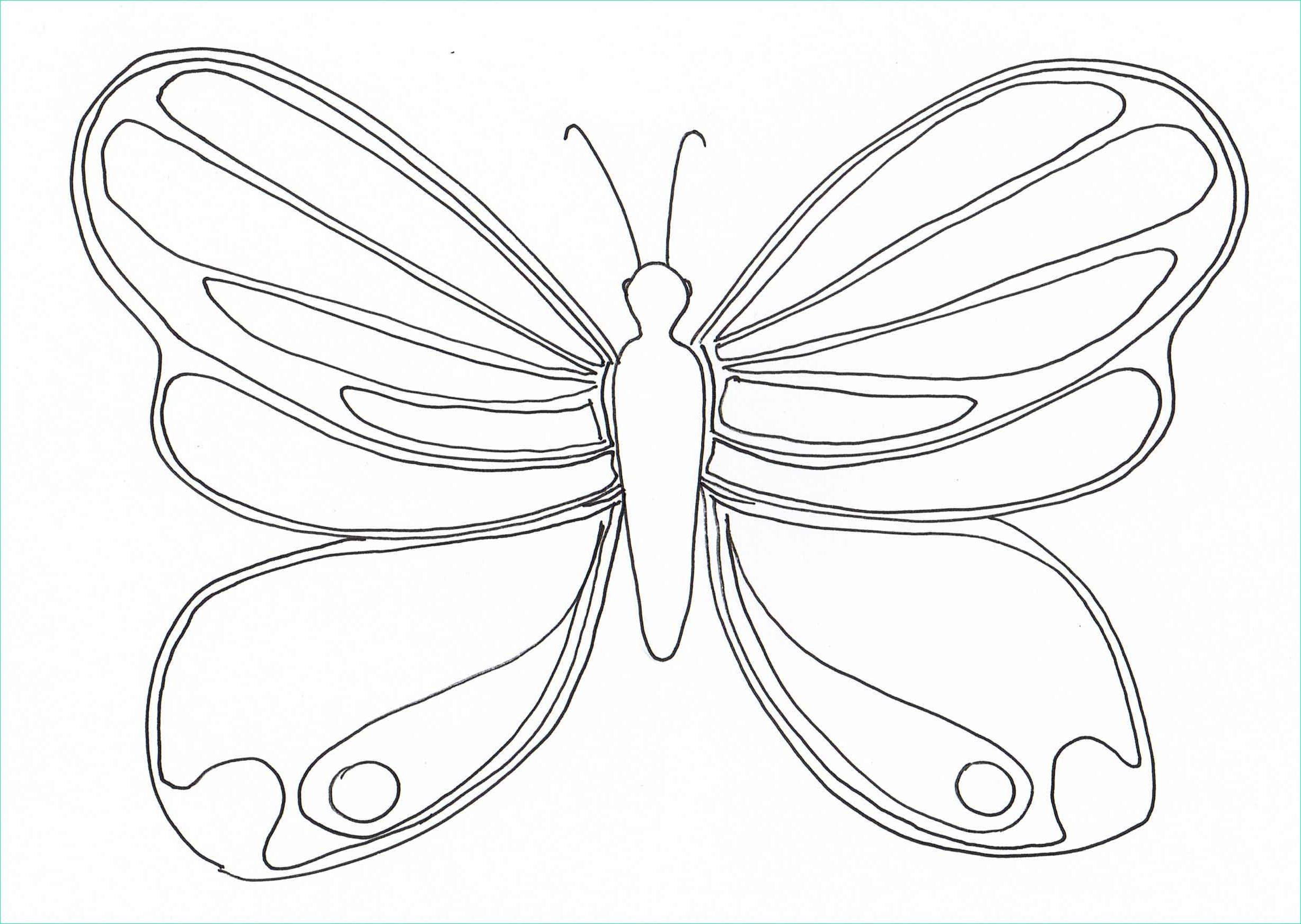 Papillon à Colorier Et Imprimer Inspirant Galerie Ailes De Papillon A Colorier Et A Imprimer
