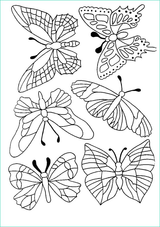 Papillon à Colorier Et Imprimer Unique Stock Coloriage Petit Papillon Imprimer