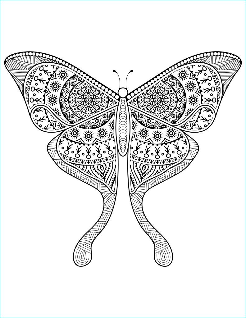 Papillon A Imprimer Beau Photographie Dessin Pour Adulte Délicat Papillon à Imprimer Difficile