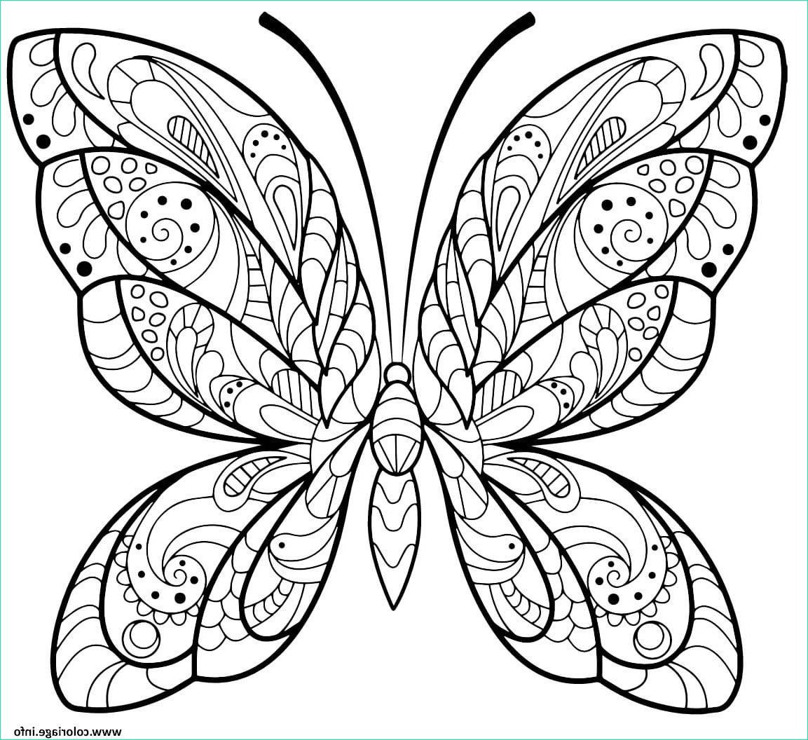 Papillon à Imprimer Luxe Photos Coloriage Papillon Jolis Motifs 2 Jecolorie