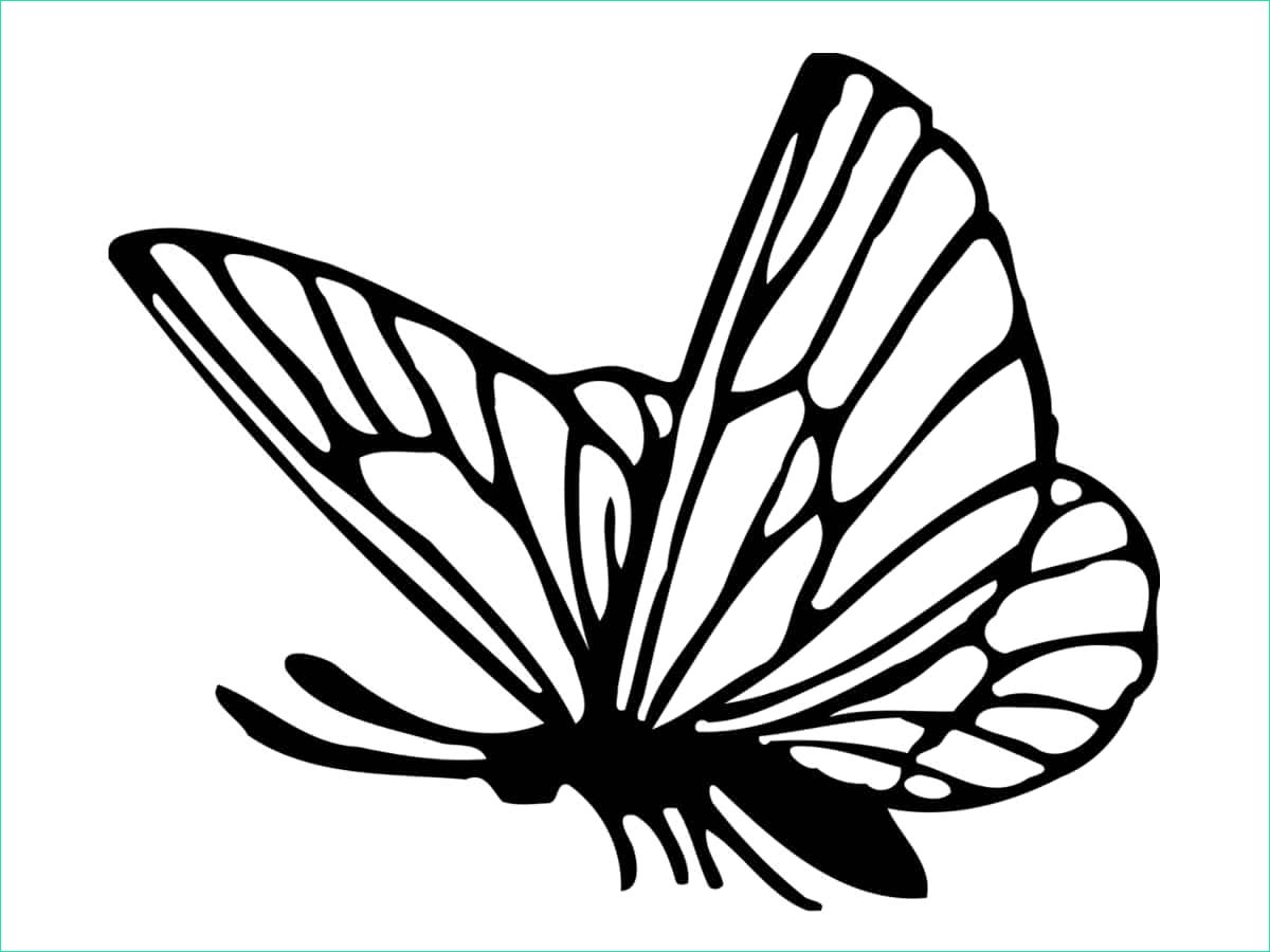 Papillon A Imprimer Nouveau Photos Coloriage Papillon 40 Dessins à Imprimer Gratuitement