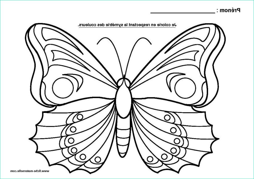 Papillon Coloriage Maternelle Bestof Images La Symétrie En Maternelle