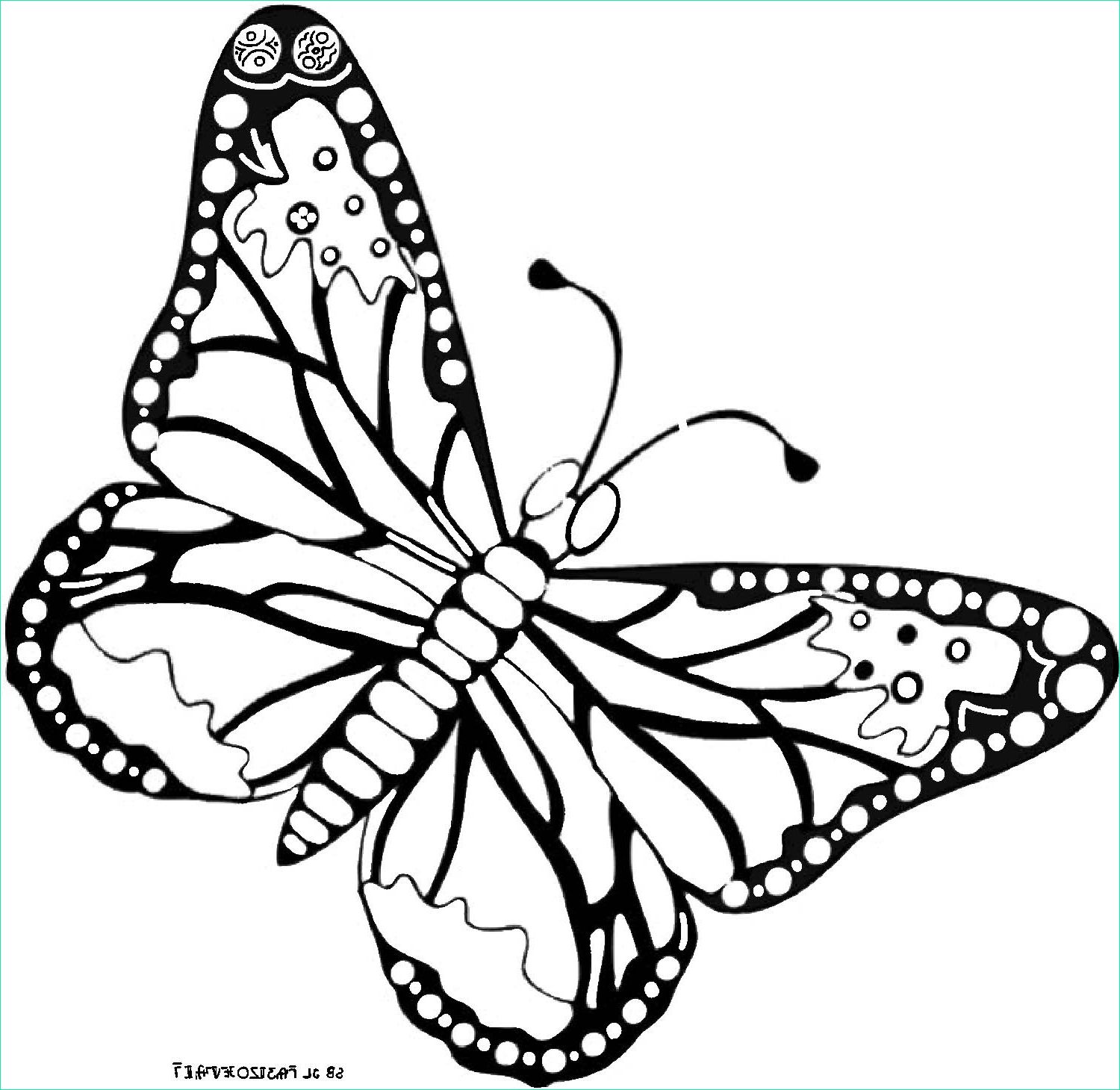 Papillon Coloriage Maternelle Bestof Photos Dessin De Papillon Sur ordinateur