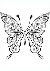 Papillon Dessin à Imprimer Beau Stock Coloriage De Papillons à Télécharger Coloriage De