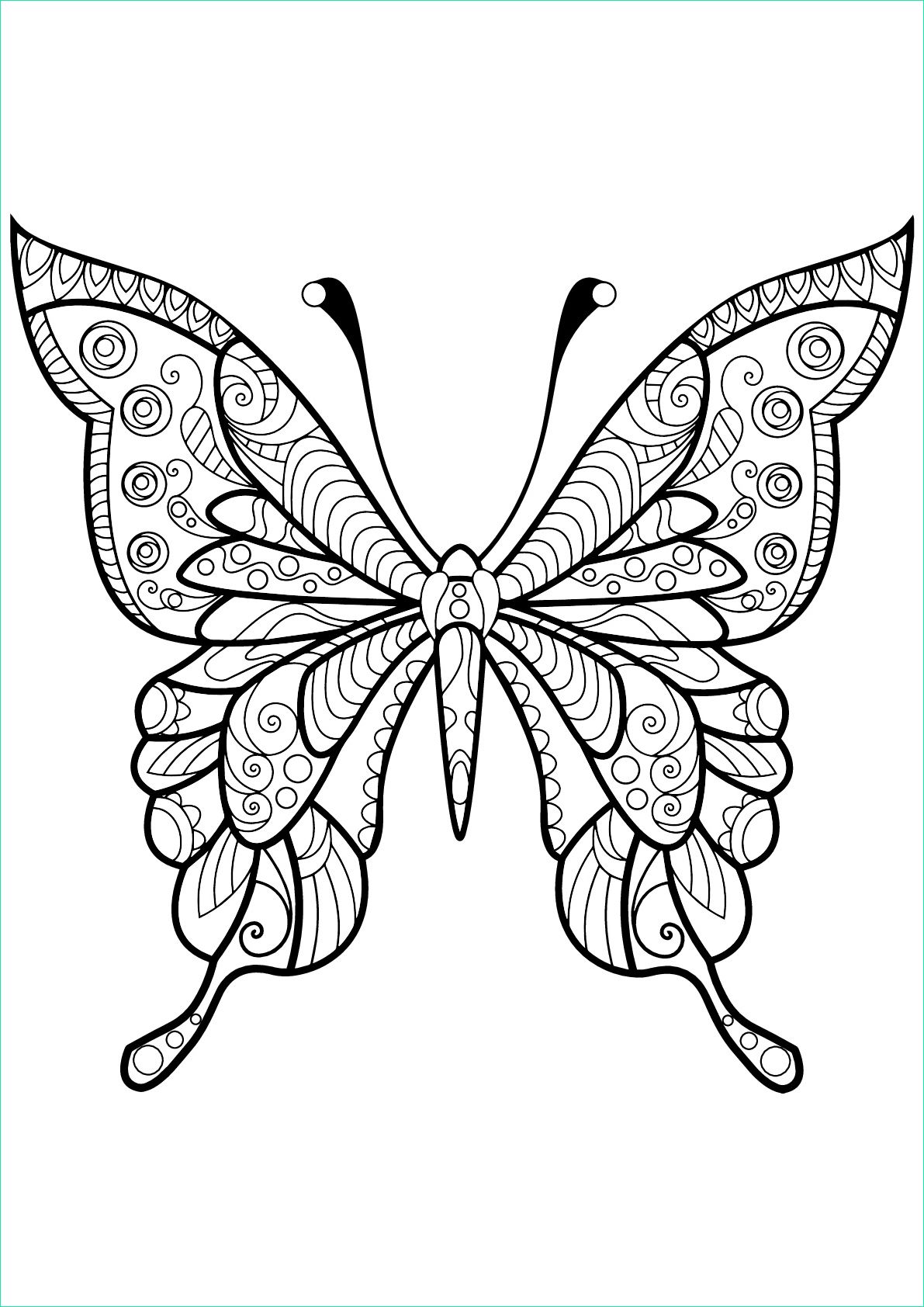 Papillon Dessin à Imprimer Beau Stock Coloriage De Papillons à Télécharger Coloriage De