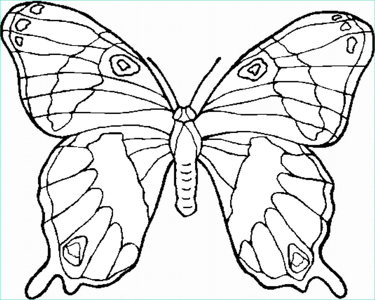 Papillon Dessin à Imprimer Inspirant Photos Coloriage De Papillons Pour Enfants Coloriage De