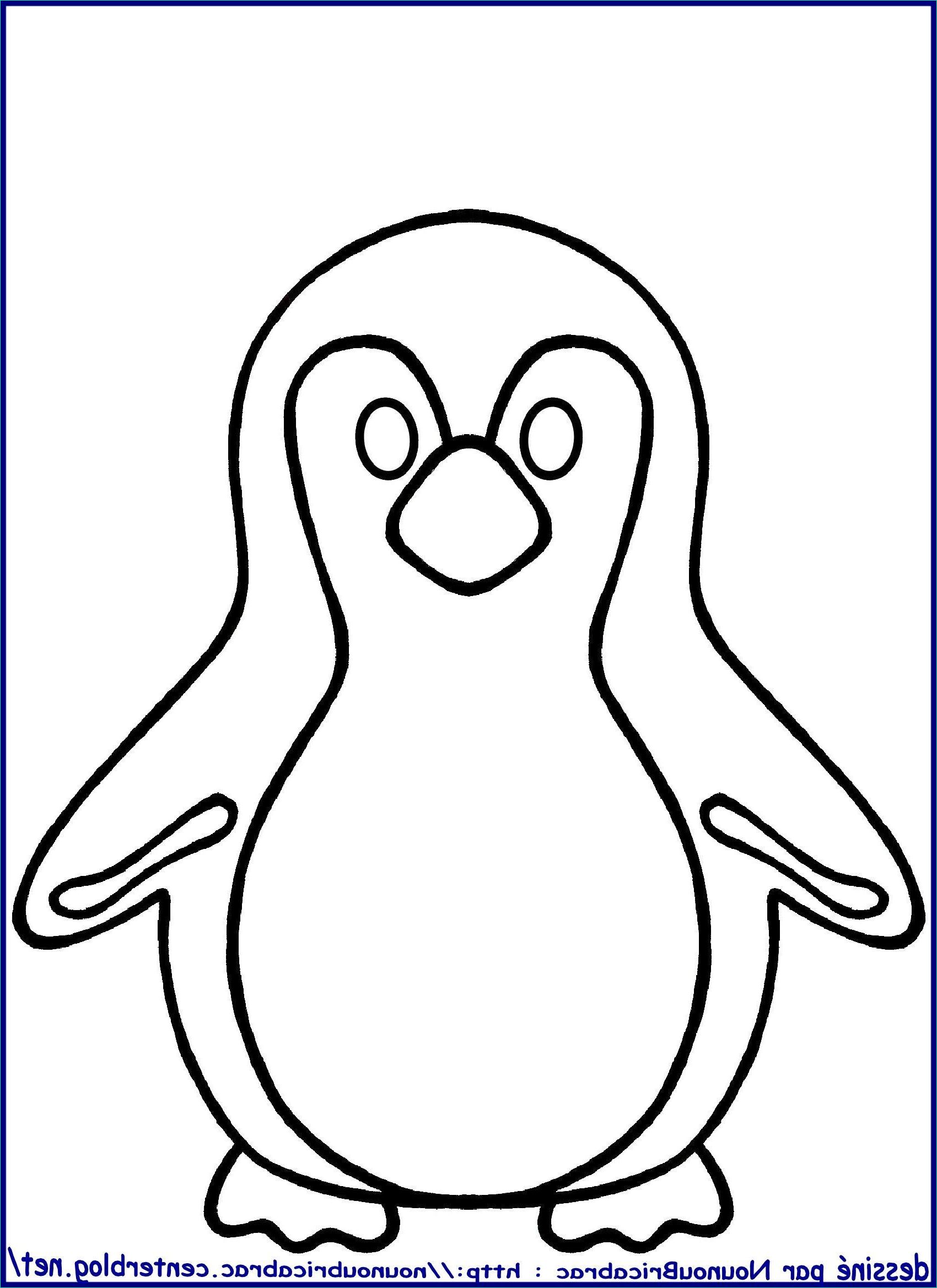 Pingouin Dessin Beau Stock Pingouin 2 à Colorier
