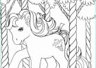 Poney A Colorier Bestof Collection Coloriage Poney