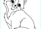 Chat A Colorier Inspirant Photos Coloriages A Imprimer Dessin Chat A Colorier