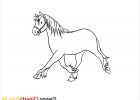 Cheval Coloriage Impressionnant Collection Coloriage Illustration Cheval Images Chevaux Dessin