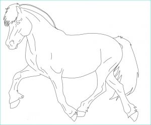 Chevaux Coloriage Impressionnant Image Coloriage Chevaux Greatestcoloringbook