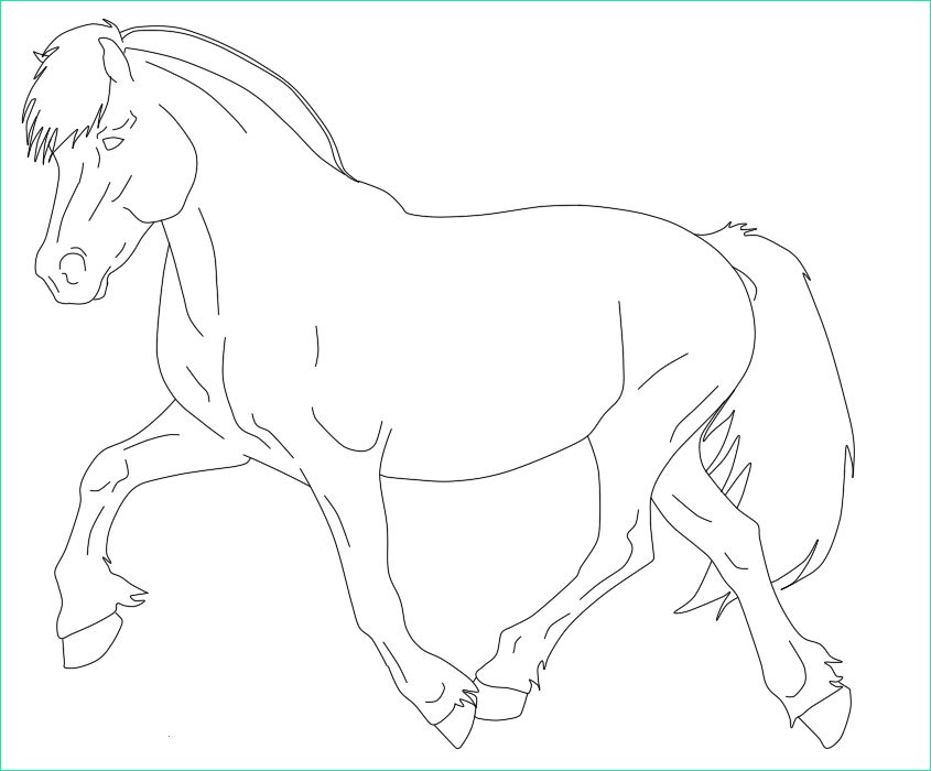 Chevaux Coloriage Impressionnant Image Coloriage Chevaux Greatestcoloringbook