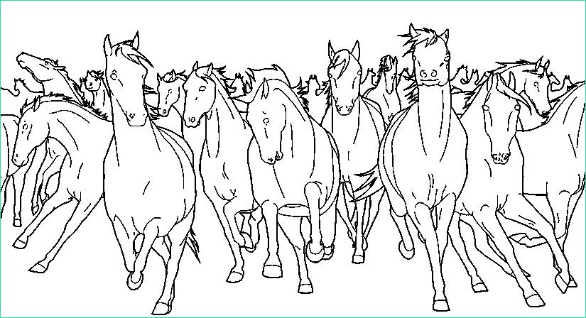 Chevaux Coloriage Unique Image Art therapy Coloring Page Horses Wild Horses 10