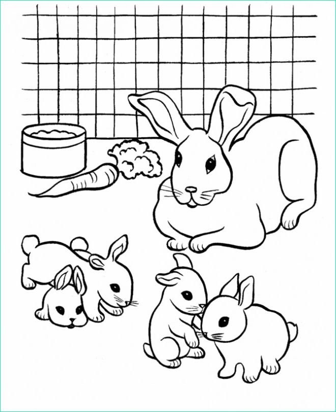 Coloriage à Imprimer Animaux Lapin Élégant Collection Coloriage Lapin Et Ses Petits Dessin Gratuit à Imprimer