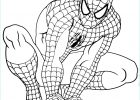 Coloriage A Imprimer Bestof Photographie Coloriage Spiderman à Imprimer