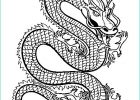 Coloriage à Imprimer Dragon Bestof Photos 19 Dessins De Coloriage Dragon Chinois à Imprimer