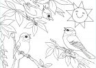 Coloriage à Imprimer Gratuit Impressionnant Photos 20 Dessins De Coloriage Oiseau à Imprimer Gratuit à Imprimer