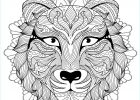 Coloriage à Imprimer Mandala Animaux Beau Photographie Mandala Tete Tigre 3 Mandalas Coloriages Difficiles