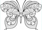 Coloriage à Imprimer Papillon Nouveau Images Coloriage Papillon Zentangle Jolis Motifs 15 Dessin