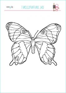 Coloriage à Imprimer Papillon Unique Photographie Coloriage Grand Papillon Momes