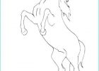 Coloriage Cheval Cabré Bestof Photos Rearing Horse Coloring Page
