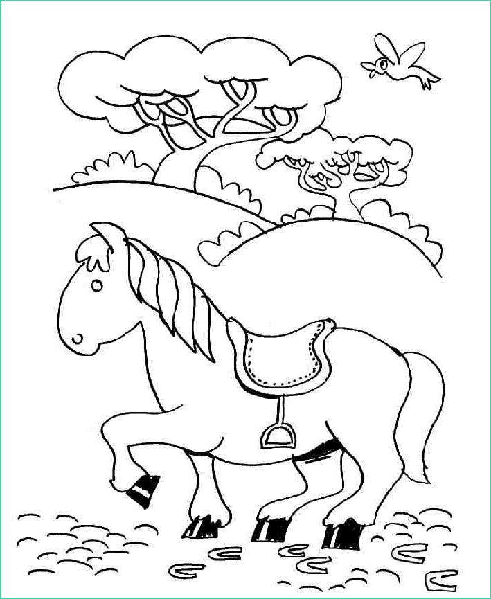 Coloriage Chevaux Impressionnant Galerie Coloriage Chevaux Greatestcoloringbook