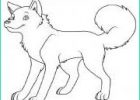 Coloriage Chien Kawaii Impressionnant Images Coloriage Chien à Imprimer Dessin Sur Coloriagefo