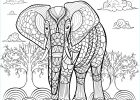 Coloriage D&#039;éléphant Cool Photographie Elephant Par Alfadanz Coloriage D éléphants Coloriages