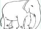 Coloriage D&#039;éléphant Unique Photographie Dessin Elephant Imprimer