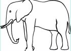 Coloriage D&#039;éléphant Unique Photographie Dumbo Planse Fisa Imagini Colorat Elefanti Desene