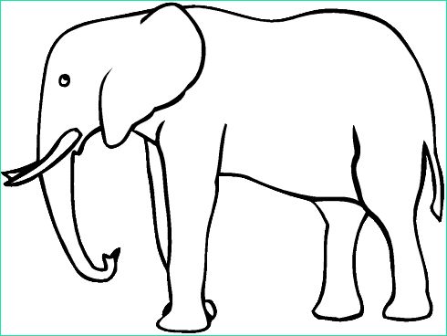 Coloriage D&amp;#039;éléphant Unique Photographie Dumbo Planse Fisa Imagini Colorat Elefanti Desene