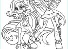 Coloriage De My Little Pony Élégant Galerie 15 Divertir Coloriage My Little Pony Rainbow Dash
