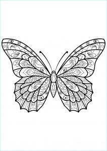 Coloriage De Papillon Bestof Galerie Papillon Jolis Motifs 3 Papillons &amp; Insectes