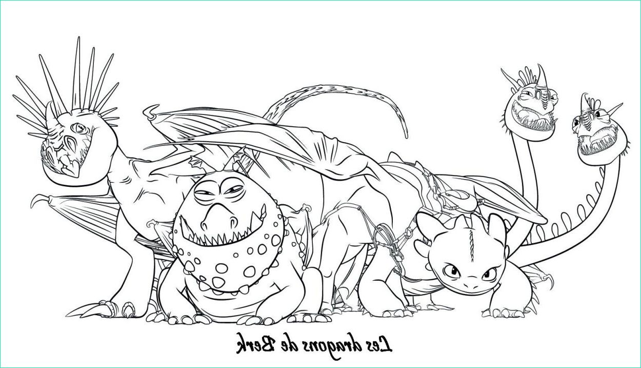 Coloriage Dragon Krokmou Bestof Collection Coloriage Krokmou La Team tonton Les Coloriages Pour